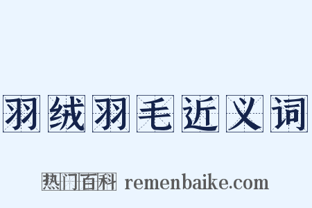 羽绒羽毛近义词是什么意思的图片